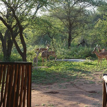 Vila Giraffe Plains Marloth Park Exteriér fotografie