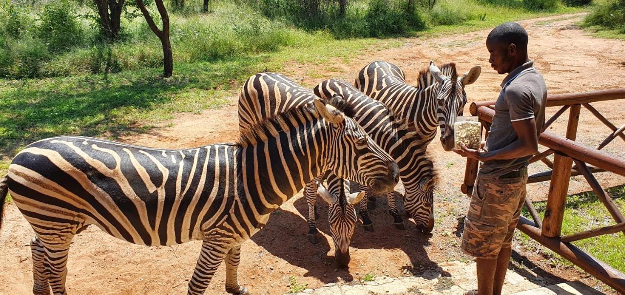 Vila Giraffe Plains Marloth Park Exteriér fotografie