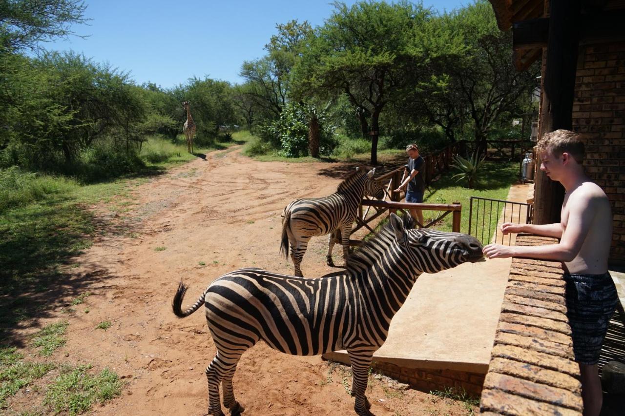 Vila Giraffe Plains Marloth Park Exteriér fotografie