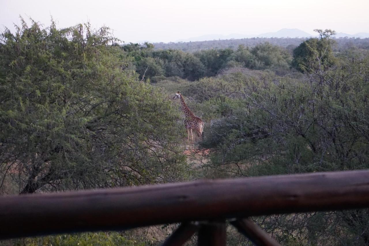 Vila Giraffe Plains Marloth Park Exteriér fotografie