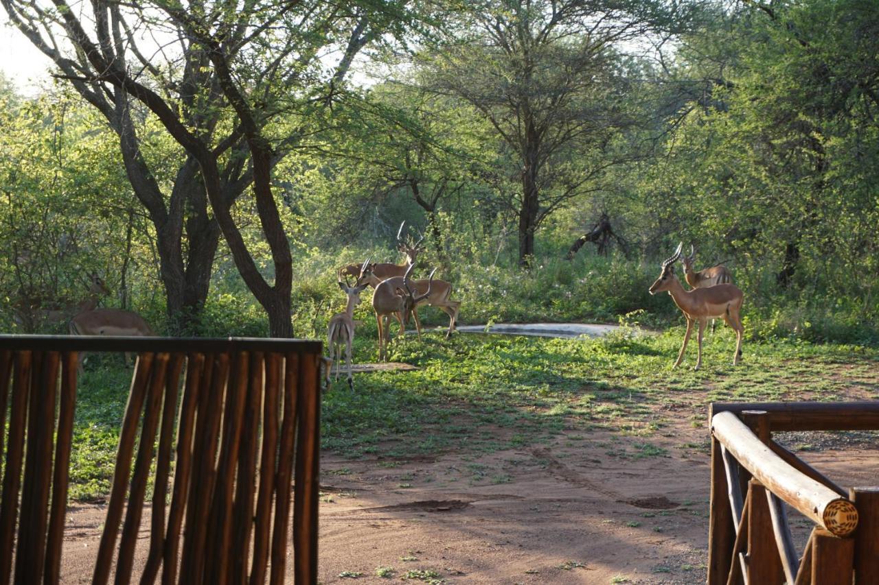 Vila Giraffe Plains Marloth Park Exteriér fotografie