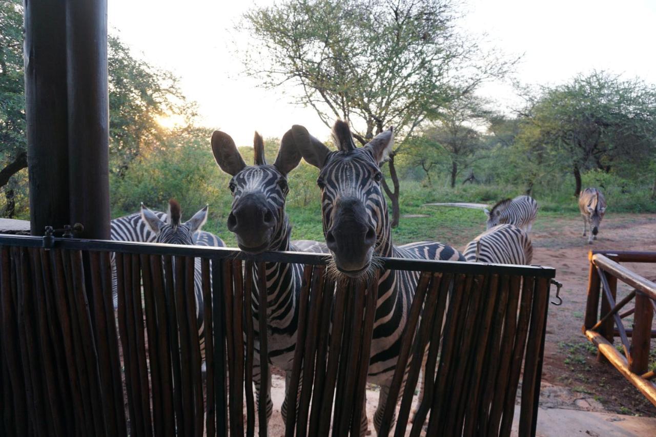 Vila Giraffe Plains Marloth Park Exteriér fotografie